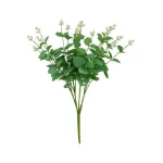 بوته برگ اکالیپتوس